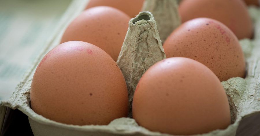 Nach dem Kauf sollten Eier direkt in den Kühlschrank - allerdings nicht in die Türfächer. Dort kann es Temperaturschwankungen geben.