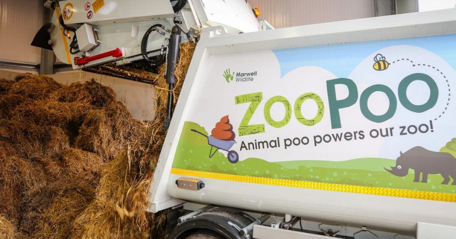 Dung wird entladen: Aus Kot gewinnt ein britischer Zoo künftig zwar kein Gold, aber dafür Energie.