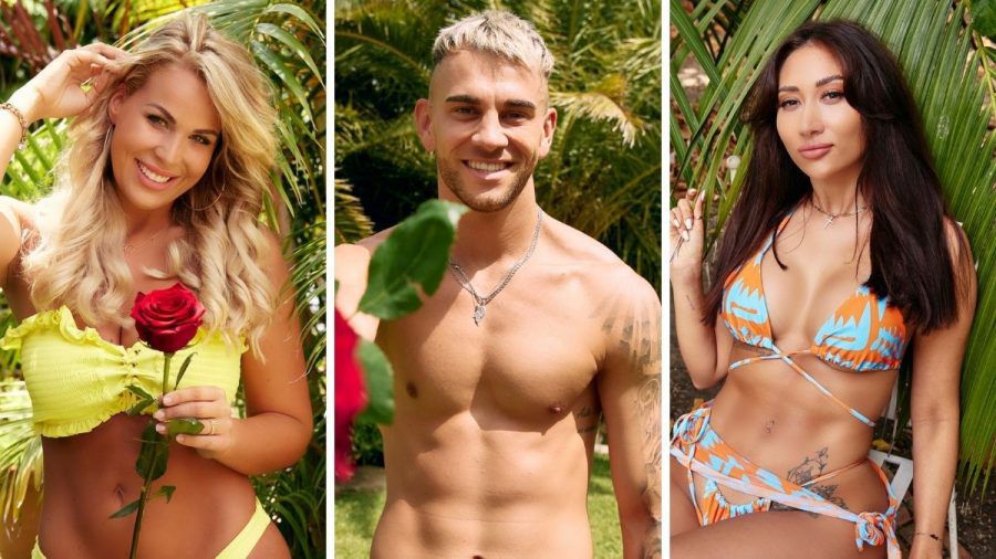 Fans müssen jetzt stark bleiben: RTL streicht "Bachelor in Paradise" aus dem Programm!