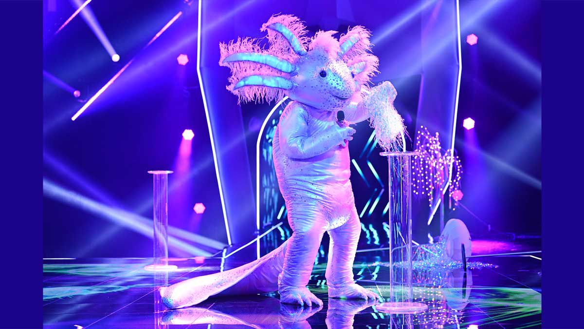 „The Masked Singer“: Das sind alle zehn Masken auf einen Klick!