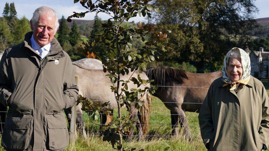 Prinz Charles und Queen Elizabeth II. haben gemeinsam eine Rotbuche gepflanzt. (ncz/spot)