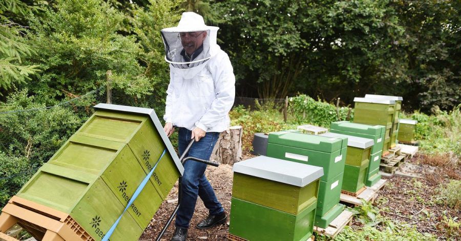 Dieter Schimanski von der Firma "Bee-Rent" - zu seinen Kunden zählen vor allem Unternehmen, die den Honig etwa zu Werbezwecken nutzen.