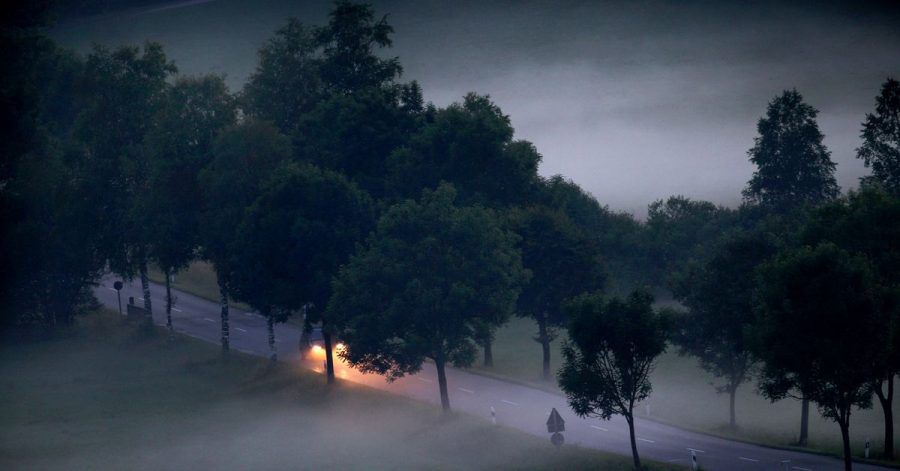 Durch die dicke Suppe nur mit Funzellicht - besser nicht: Wenn Nebel, Schneefall oder Regen die Sicht erheblich behindern, muss das Abblendlicht eingeschaltet werden.