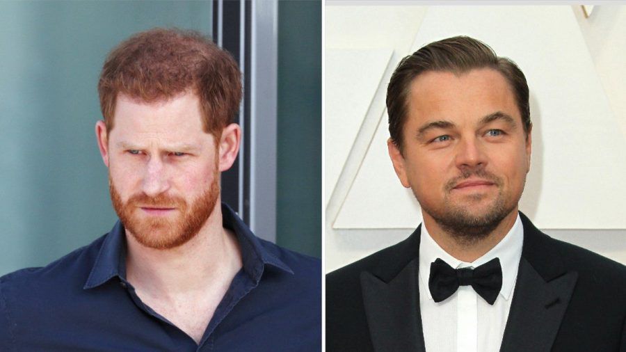 Prinz Harry (l.) und Leonardo DiCaprio machen sich gemeinsam für Afrika stark. (dr/spot)