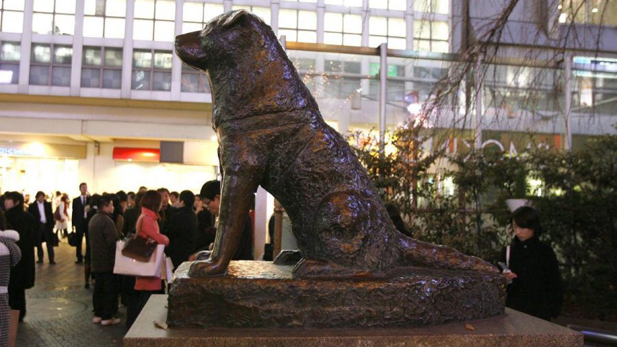 Hachiko-Denkmal in Tokio.