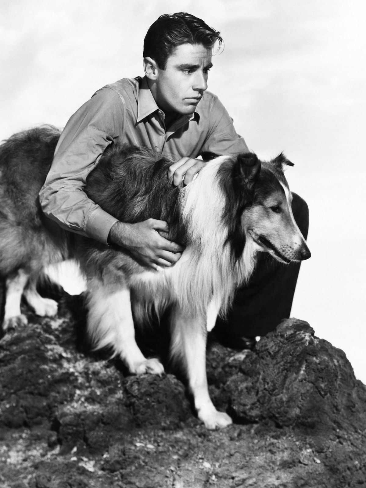 Von Laika bis Lassie: 8 Hunde, die zu Legenden wurden