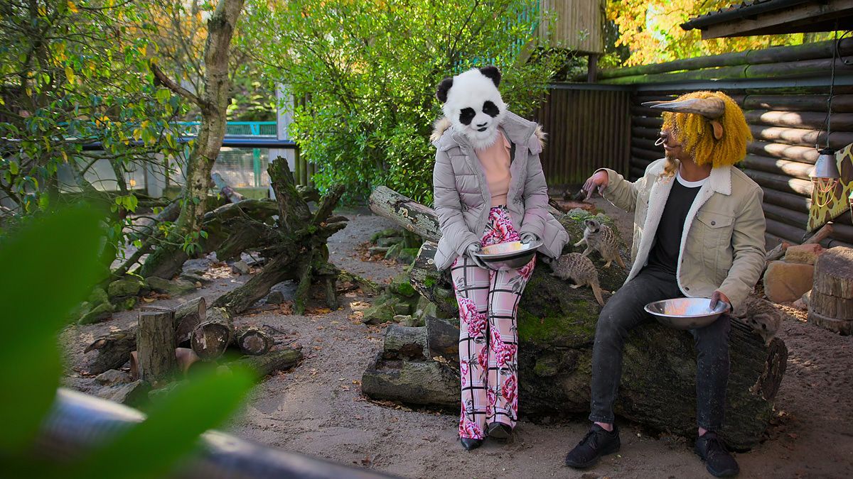 "Sexy Beasts" auf Netflix: 3. Staffel für die schräge Datingshow?