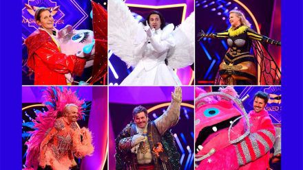 „The Masked Singer": Die Stars verraten, worauf es ankommt