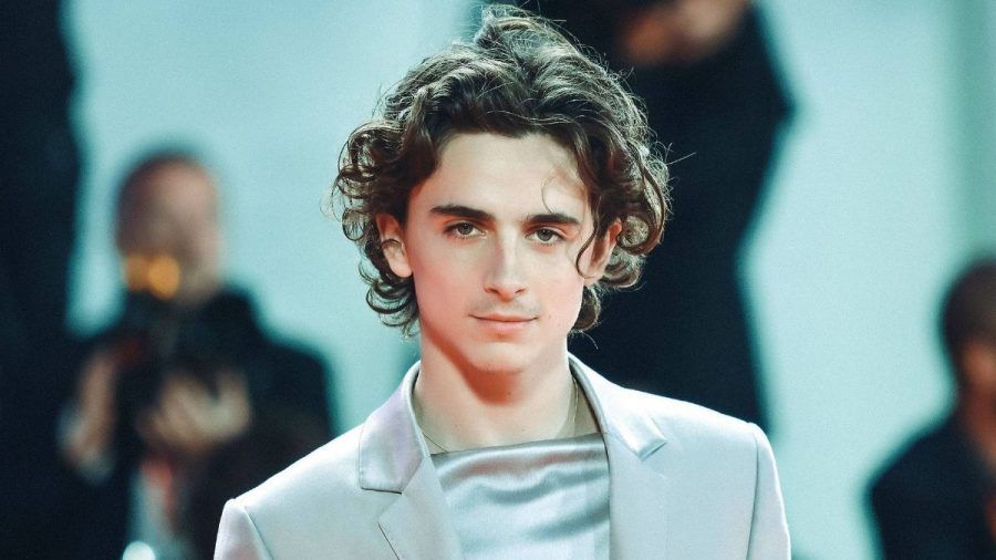 „Dune“-Star Timothée Chalamet: Wer ist der coole Newcomer?