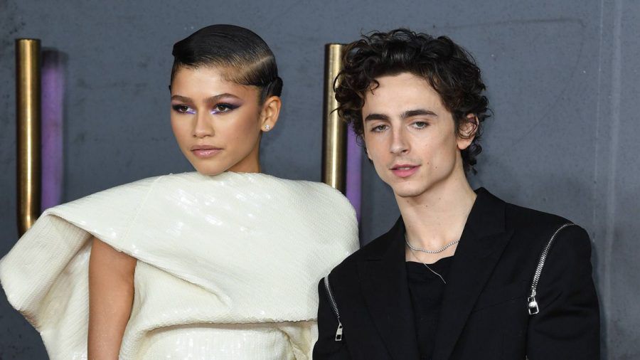 Timothee Chalamet über seine Freundschaft mit Zendaya