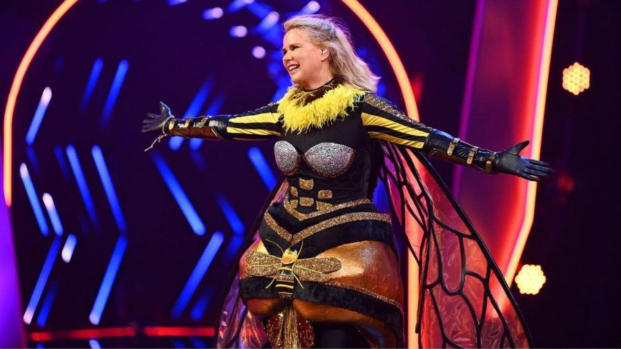 „The Masked Singer": Die Stars verraten, worauf es ankommt