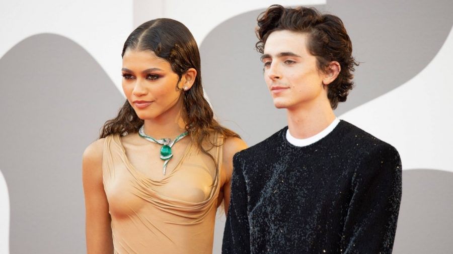 Timothée Chalamet über seine Beziehung zu Zendaya