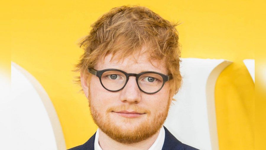 Ed Sheeran hat seine Corona-Infektion überstanden. (eee/spot)