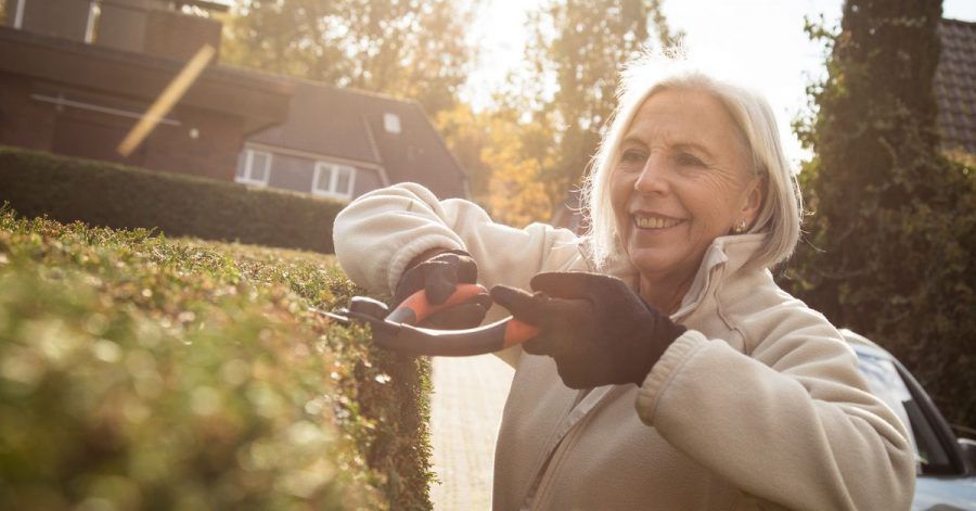 Nach dem Bundesnaturschutzgesetz ist es von Anfang Oktober bis Ende Februar erlaubt, Hecken, lebende Zäune und andere Gehölze stärker zu schneiden.