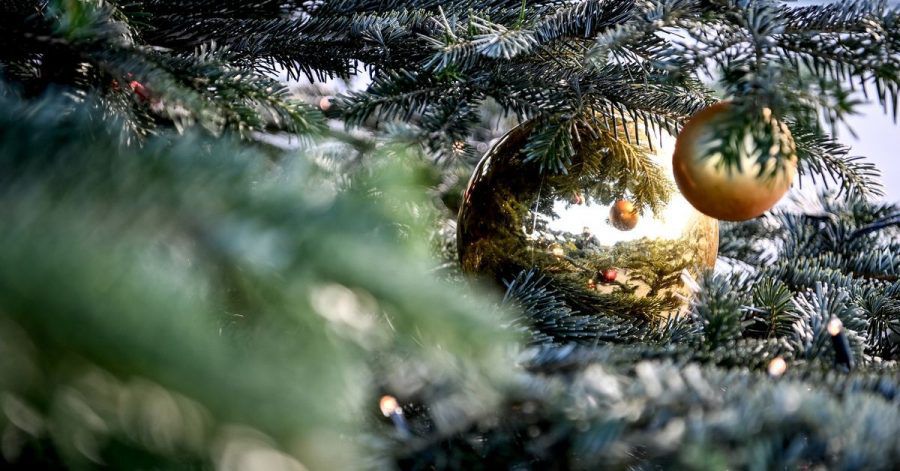 Ein Weihnachtsbaum ist mit Kugeln und einer Lichterkette geschmückt. (Archivbild)