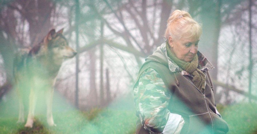 Misha Defonseca, eine Frau, deren Holocaust-Memoiren die Welt im Sturm eroberten.