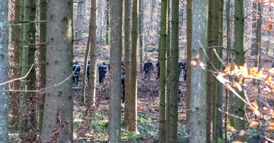 Polizisten durchkämmen den Wald.