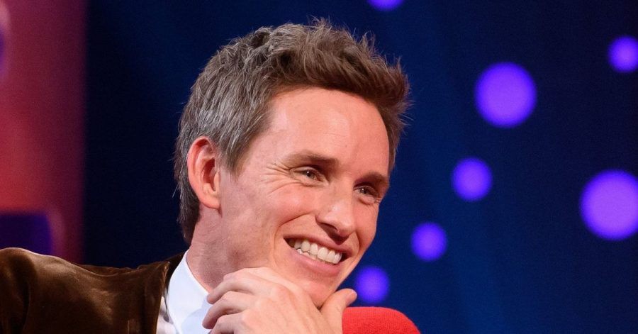 Schauspieler Eddie Redmayne würde nicht noch einmal eine Transfrau spielen.