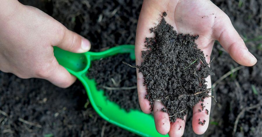 Wer die Zusammensetzung seines Gartenbodens erfahren will, kann diesen in einem Labor analysieren lassen.