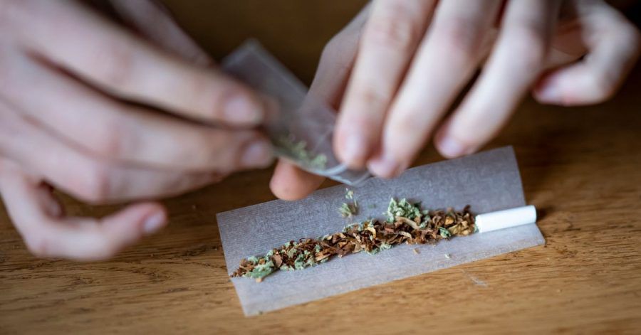 Die Ampel-Parteien wollen Cannabis für den Genuss legalisieren.