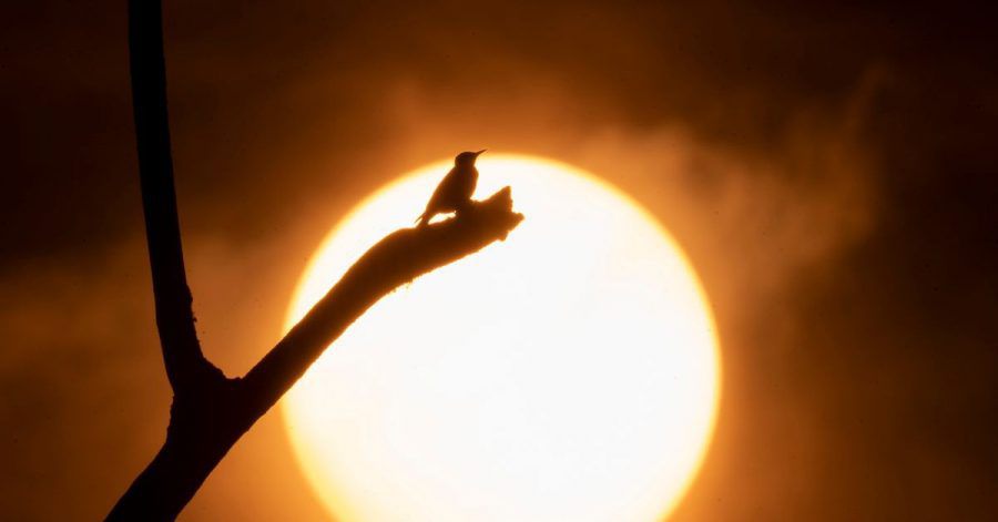 Der US-Klimabehörde NOAA zufolge war es weltweit der viertwärmste Oktober seit Beginn der Aufzeichnungen.