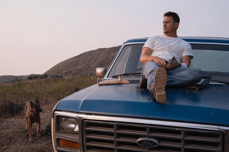 Trailer zum Regiedebüt von Channing Tatum: „Dog" ist ein Film mit Herz