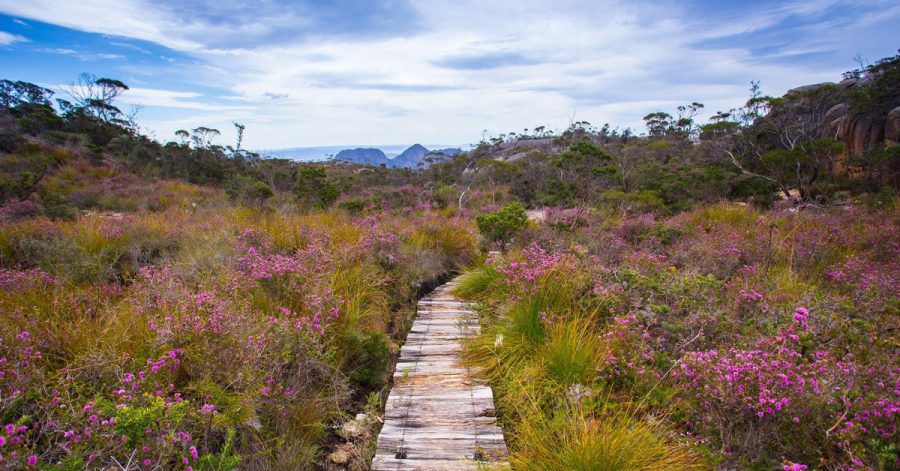 Diese Küstenwildnis lockt Outdoor-Freunde: Unterwegs auf dem Freycinet Experience Walk.