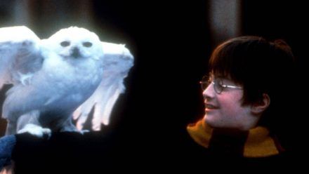 20 Jahre ist es her, dass Daniel Radcliffe erstmals in die Rolle des Zauberlehrlings Harry Potter schlüpfte. (jru/spot)