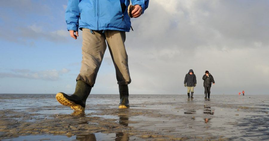 Bewegung an frischer Luft: Wattwandern zählt im Winter zu den beliebten Aktivitäten.