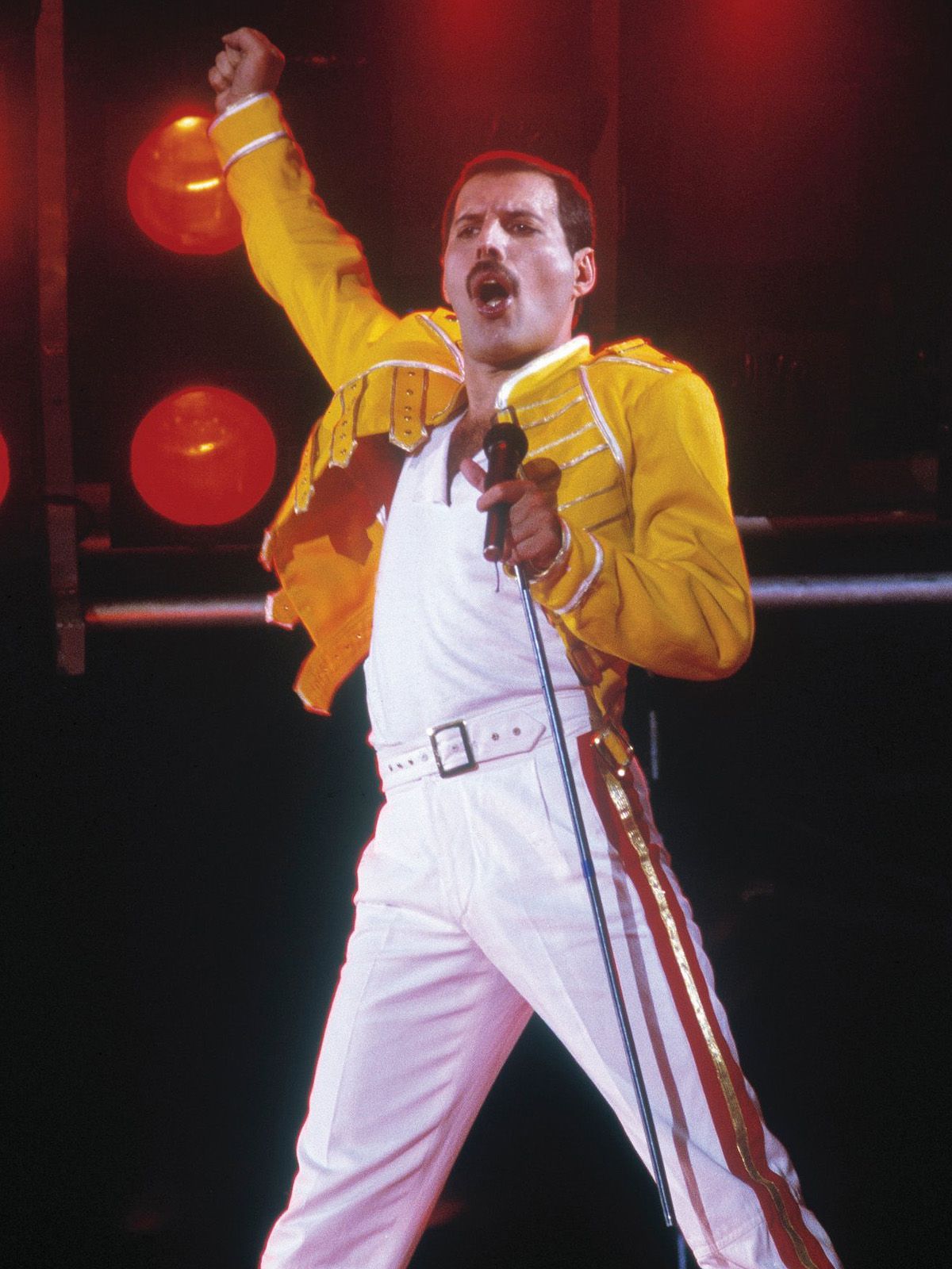 Freddie Mercury zum 30. Todestag: Seine Popularität ist ungebrochen