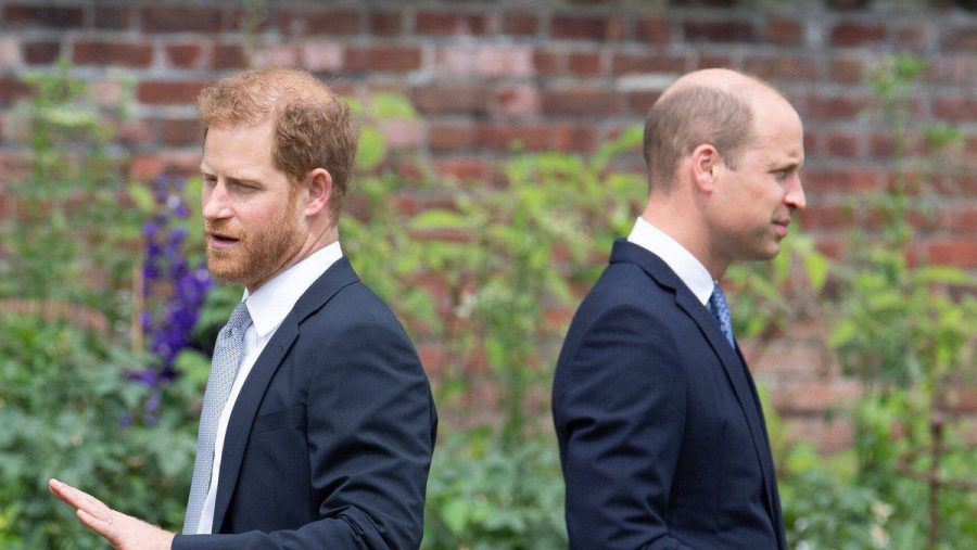 Prinz William und Prinz Harry bei der Enthüllung einer Diana-Statue im Sommer im Kensington Palast. (ili/spot)