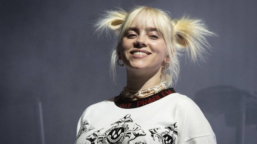 Billie bei einem Konzert