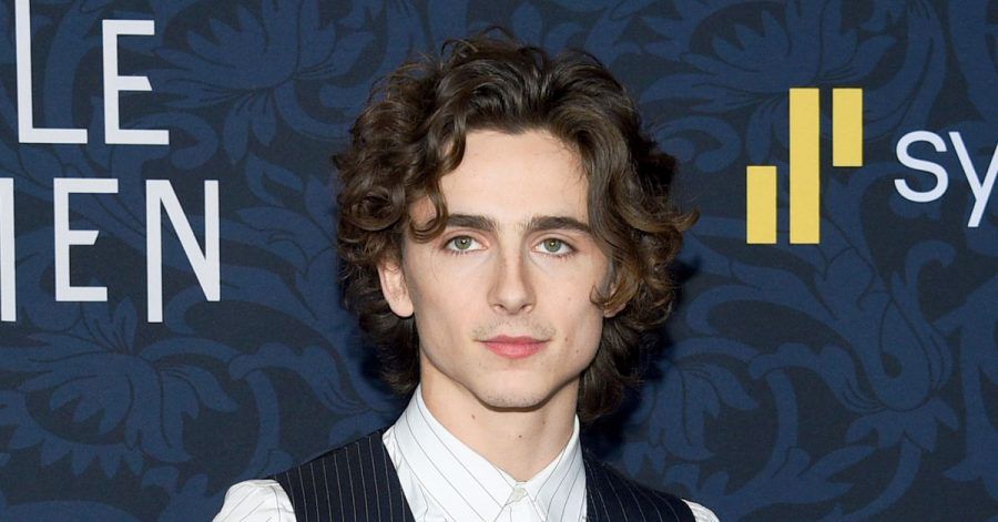 Timothée Chalamet bei der Premiere von «Little Women».