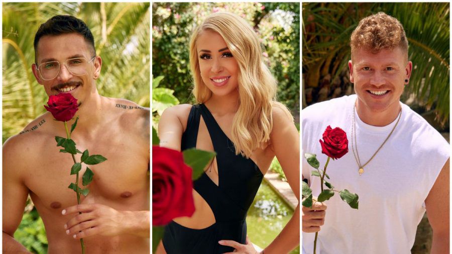 Bachelor in Paradise: Alle Kandidaten gehen!