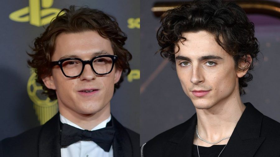 „Spider-Man“: Tom Holland will Timothee Chalamet als Bösewicht im Marvel-Universum