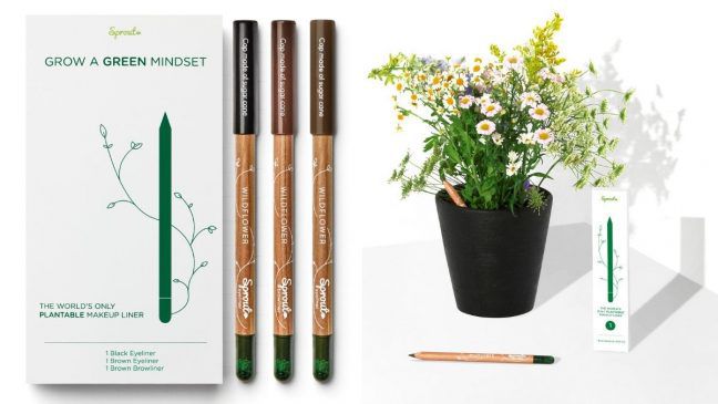 sprout world eyeliner