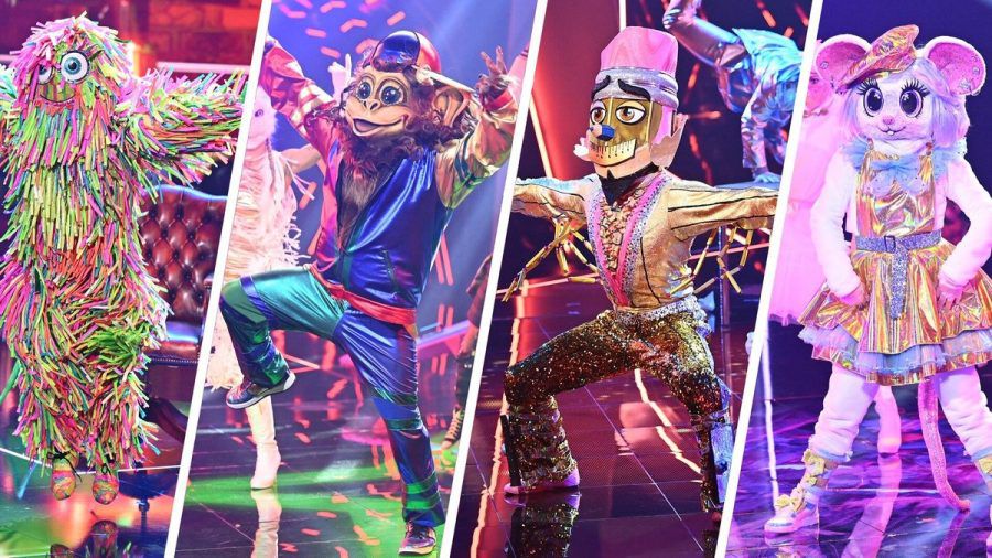 Das Zottel, der Affe, der Buntstift und die Maus wollen "Masked Dancer" gewinnen. (jom/spot)