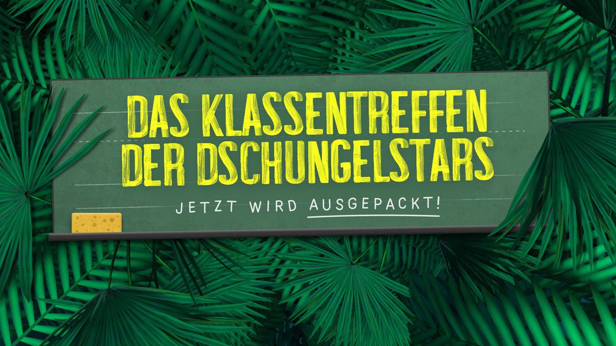 Zum Gesundheitszustand von Kleinkunstkönigin Désirée Nick