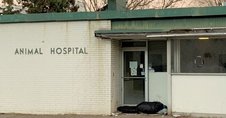 Ein Obdachloser liegt an einer Tür zum Tierhospital in Charleston.
