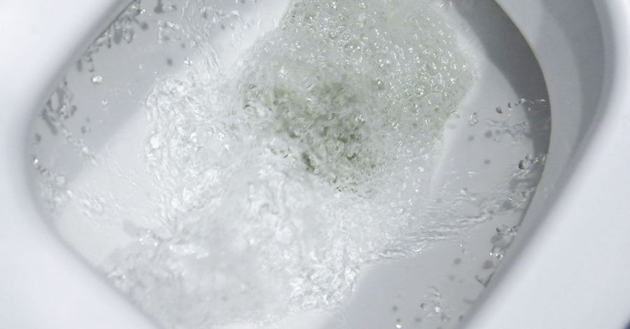Die Toilette ist kein Abfalleimer - Essensreste gehören in die Tonne.