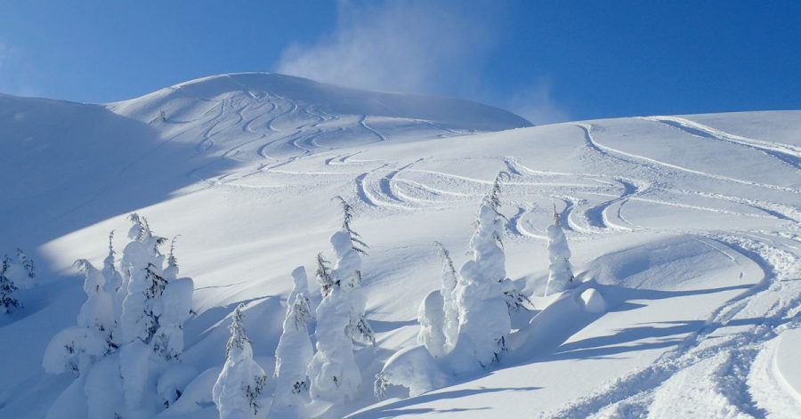 Keine präparierten Pisten in Sicht: In die kanadischen Berge zieht es vor allem Tiefschneebegeisterte.