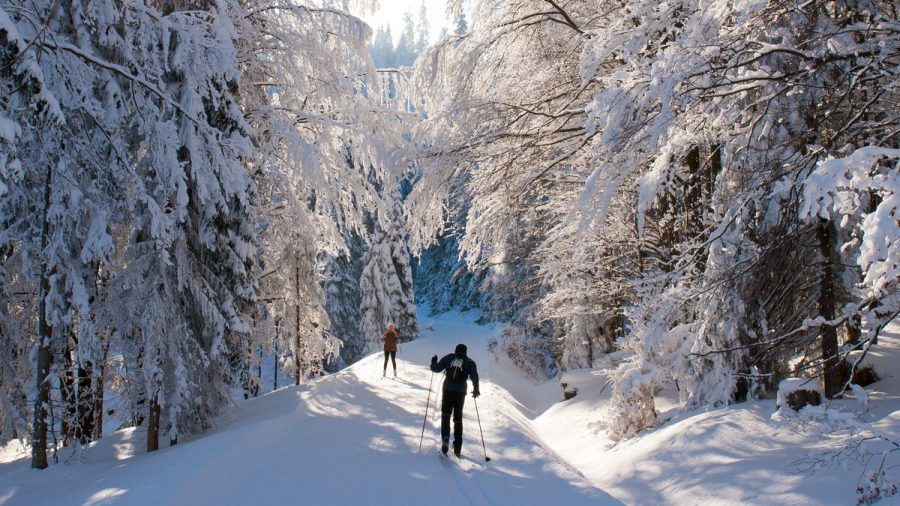 Langlauf gehört zu den anstrengendsten Wintersportarten. (mia/spot)