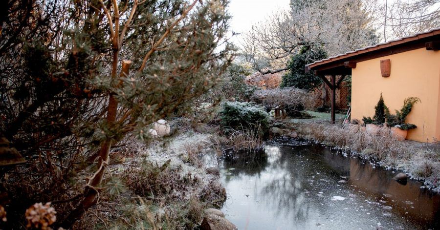 Verharren Fische den Winter über im Gartenteich, sollte er nicht komplett zufrieren.