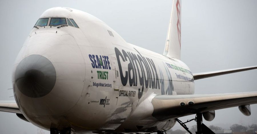 Der blinde Passagier versteckte sich im vorderen Fahrwerksbereich des Frachtflugzeuges.