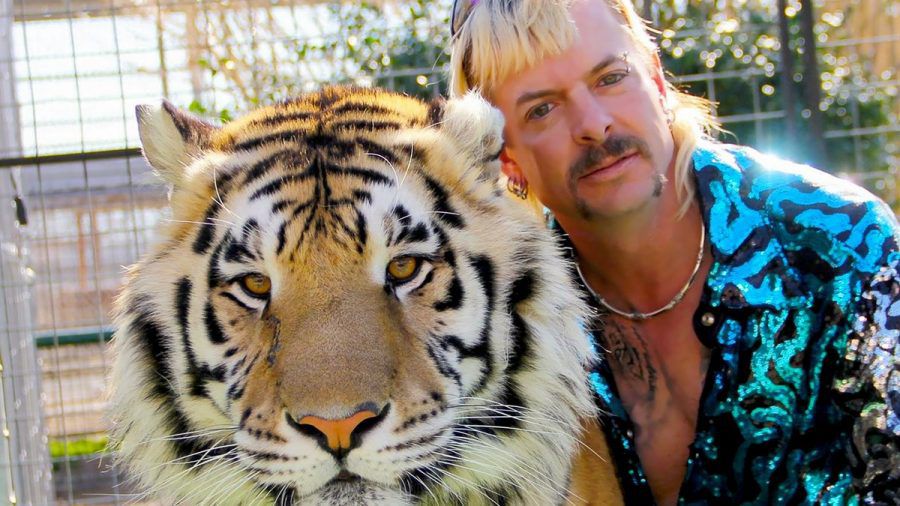 Joe Exotic wurde bekannt durch die Netflix-Doku "Tiger King". (hub/spot)