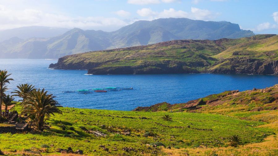 Die portugiesische Insel Madeira hat einiges zu bieten - auch im Winter. (amw/kms/spot)