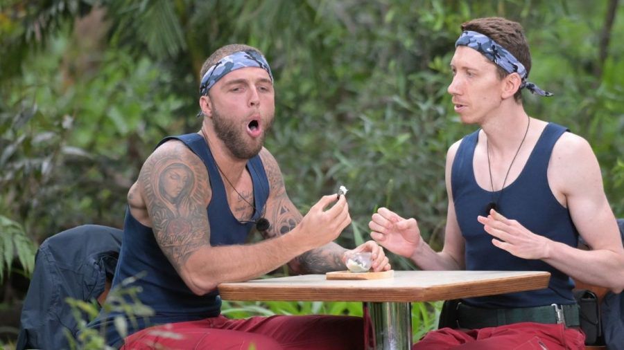 Dschungelcamp 2022: Von Schweinepenissen und Wasser-Beef - Die besten Tweets zu Folge 9!