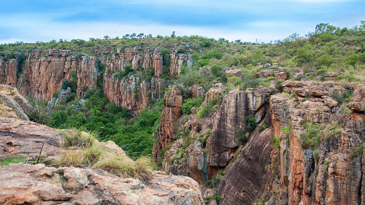 Von wegen Dschungel! So sieht das Dschungelcamp 2022 in Südafrika aus
