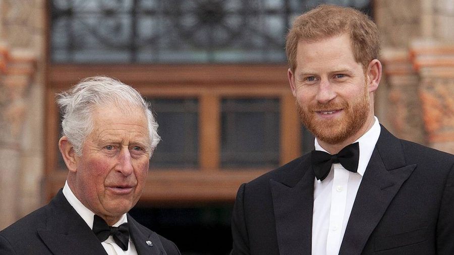 Prinz Charles und Prinz Harry bei einem Auftritt in London 2019. (hub/spot)