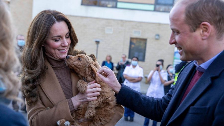 William und Kate: DAS ist ihre Ablenkungstaktik von Andrew